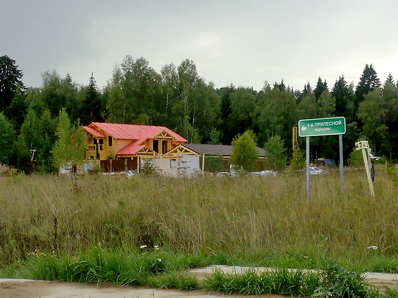 Коттеджный поселок Лесницыно (Riga Forest)_5