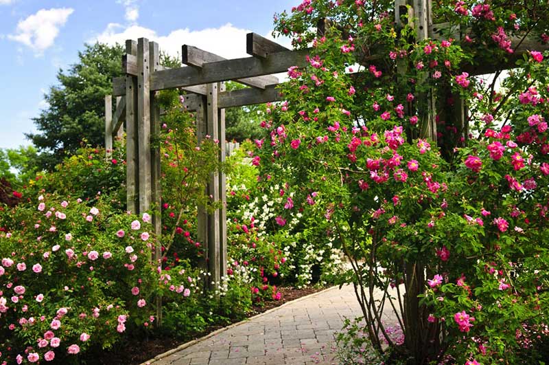 27 отличных идей для украшения сада во дворе